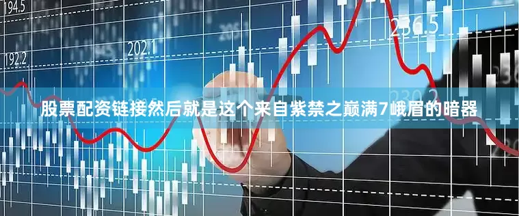 股票配资链接然后就是这个来自紫禁之巅满7峨眉的暗器