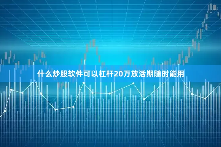 什么炒股软件可以杠杆20万放活期随时能用
